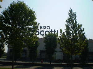 Sede Riso Scotti